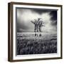 Mydog-Luis Beltran-Framed Photographic Print