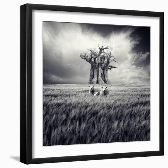 Mydog-Luis Beltran-Framed Photographic Print