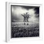 Mydog-Luis Beltran-Framed Photographic Print