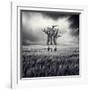 Mydog-Luis Beltran-Framed Premium Photographic Print