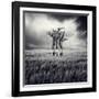 Mydog-Luis Beltran-Framed Premium Photographic Print