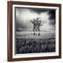 Mydog-Luis Beltran-Framed Premium Photographic Print