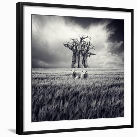 Mydog-Luis Beltran-Framed Photographic Print