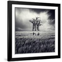 Mydog-Luis Beltran-Framed Photographic Print