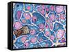 Myelination of Nerve Fibres, TEM-Thomas Deerinck-Framed Stretched Canvas