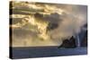 Mykines Coastline at Sunrise, Faroes, Denmark, Europe-Michael Nolan-Stretched Canvas
