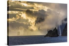 Mykines Coastline at Sunrise, Faroes, Denmark, Europe-Michael Nolan-Stretched Canvas