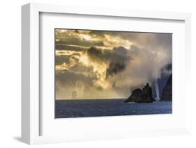 Mykines Coastline at Sunrise, Faroes, Denmark, Europe-Michael Nolan-Framed Photographic Print