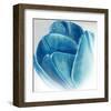 Mykonos Tulip Bloom-Miranda York-Framed Art Print