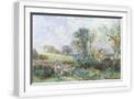 White Frame