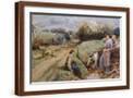 Brown Frame