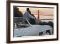 Brown Frame