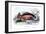 Myletes Pacu-Robert Hermann Schomburgk-Framed Art Print