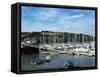 Mylor Yacht Marina, Falmouth, Cornwall, England, United Kingdom-David Lomax-Framed Stretched Canvas