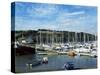 Mylor Yacht Marina, Falmouth, Cornwall, England, United Kingdom-David Lomax-Stretched Canvas