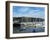 Mylor Yacht Marina, Falmouth, Cornwall, England, United Kingdom-David Lomax-Framed Photographic Print