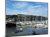 Mylor Yacht Marina, Falmouth, Cornwall, England, United Kingdom-David Lomax-Mounted Photographic Print