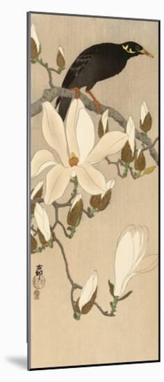 Myna on Magnolia Branch, 1900-1910-Ohara Koson-Mounted Premium Giclee Print