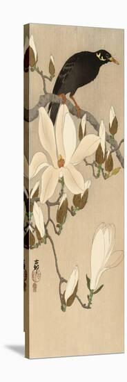 Myna on Magnolia Branch, 1900-1910-Ohara Koson-Stretched Canvas