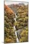 Mynach Falls, Devil's Bridge, Nr. Aberystwyth-Alfred Robert Quinton-Mounted Giclee Print