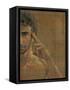 Mynder-Fabio Panichi-Framed Stretched Canvas