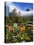 Myriad Botanical Gardens, Downtown Oklahoma City, Oklahoma, United States of America, North America-Richard Cummins-Stretched Canvas