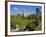 Myriad Botanical Gardens, Oklahoma City, Oklahoma, United States of America, North America-Richard Cummins-Framed Photographic Print