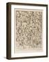 Myriad of Faces Looking in Different Directions: Characters and Caricatures-William Hogarth-Framed Photographic Print