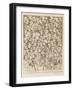 Myriad of Faces Looking in Different Directions: Characters and Caricatures-William Hogarth-Framed Photographic Print