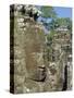 Myriad Stone Heads Typifying Cambodia in the Bayon Temple, Angkor, Siem Reap, Cambodia-Gavin Hellier-Stretched Canvas