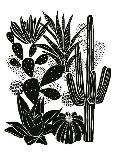 Monochrome Cacti-Myriam Tebbakha-Art Print