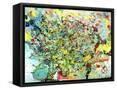 Framed Canvas