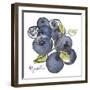 Myrtilles-Sandra Jacobs-Framed Giclee Print