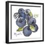 Myrtilles-Sandra Jacobs-Framed Giclee Print