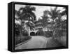 Myrtle Bank Hotel, Kingston, Jamaica, 1931-null-Framed Stretched Canvas