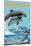 Myrtle Beach, South Carolina - Dolphins Swimming-Lantern Press-Mounted Art Print