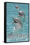 Myrtle Beach, South Carolina - Dolphins-Lantern Press-Framed Stretched Canvas