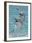 Myrtle Beach, South Carolina - Dolphins-Lantern Press-Framed Art Print