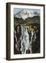 'Myrtle Falls and Mount Rainier', c1916-Asahel Curtis-Framed Premium Photographic Print