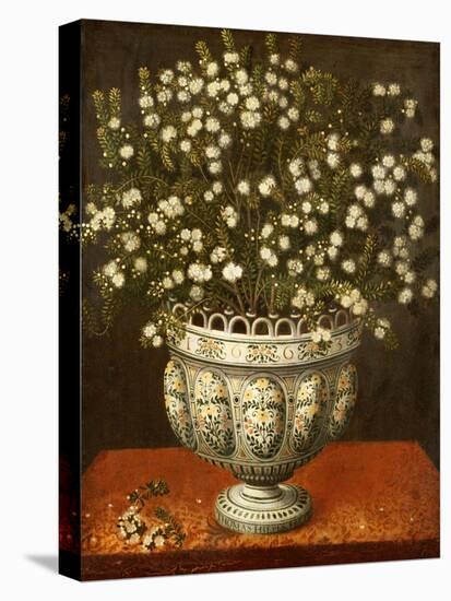 Myrtle in a Lobed-Footed Polychrome Maiolica Manises Vase on a Draped Ledge, 1663-Tomas Hiepes-Stretched Canvas