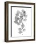 Myrtle Tree L182-Albert Koetsier-Framed Art Print