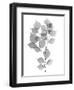 Myrtle Tree L182-Albert Koetsier-Framed Art Print