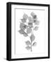 Myrtle Tree L182-Albert Koetsier-Framed Art Print
