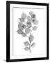 Myrtle Tree L182-Albert Koetsier-Framed Art Print