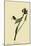 Myrtle Warbler-John James Audubon-Mounted Giclee Print