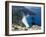 Myrtos Bay and Beach, Kefalonia, Ionian Islands, Greek Islands, Greece-Michael Short-Framed Photographic Print