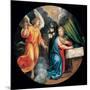 Mysteries of the Rosary, the Annunciation-Vincenzo Campi-Mounted Art Print