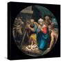 Mysteries of the Rosary, The Nativity-Vincenzo Campi-Stretched Canvas