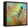 Mysteries of the Universe II-Bridget G. Evans-Framed Stretched Canvas