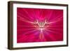 Mysterious Alien Form Magnetic Fields in the Red Sky. Fractal Art Graphics-Artem Volkov-Framed Photographic Print